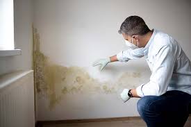 Best Environmental Consulting for Mold Prevention  in Lake Lure, NC